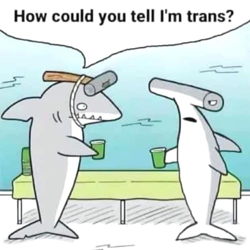 Episode 37 - No Lunch For Palestine