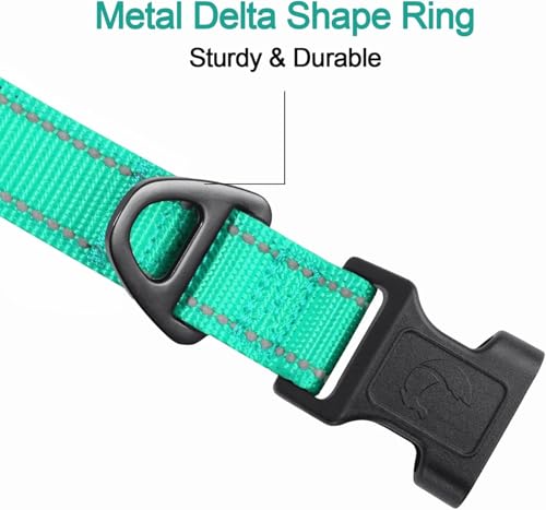 Collar Básico para Perros Reflectivo con Neopreno Suave L miniatura 3