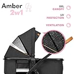 LIONELO Amber Kinderwagen 2 in 1 Kombikinderwagen, Kinderwagen Set mit sportlichen Sitz und fester Babywanne, Tasche, Moskitonetz, Abdeckung Regenblatt (Graphit)