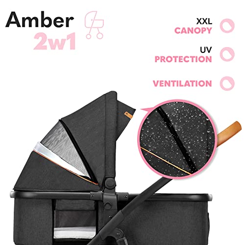 LIONELO Amber Kinderwagen 2 in 1 Kombikinderwagen, Kinderwagen Set mit sportlichen Sitz und fester Babywanne, Tasche, Moskitonetz, Abdeckung Regenblatt (Graphit)