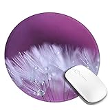 Gut für die neueste Maus, bequem zu nehmen und langlebig.