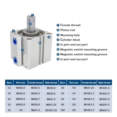 Cylindre compact double tige SDAD empêche la torsion alésage 100mm - 3