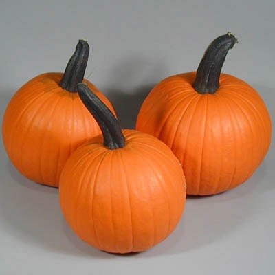Pumpkin Neon F1 Seeds - Vegetable Seeds Package - 250 Seeds #TOP18