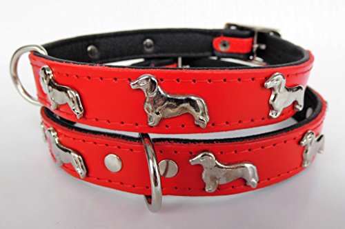 Lusy011 *DACKEL* Hunde Halsband, Leder, Halsumfang 28-31cm oder 36-41cm,* ROT* NEU (45cm (Halsumfang 36-41cm))/422 Cover