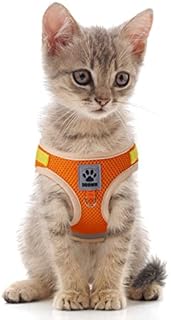 No Pull Dog Harness Small Dogs, Soft Mesh Reflective Breathable Step-In Dog Cat Harness and Lead Set for Puppy Cat Pet Vest with Leash Adjustable for Outdoor Walking, Training XS Blue