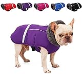 Doglay Dog Winter Coat with Thicken Furry Collar, Reflective Warm Fleece Lining Pet Jacket...