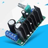 Moduł Wzmacniacza LiebeWH Głośnik Mono Płyta Wzmacniacza 1 Kanałowa Płyta Wzmacniająca Mini 12-24V 5W-120W TDA2050