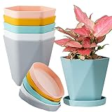 bisenwin Plant Pots Indoor Plastic Flower Pots Outdoor 5 inch Set of 6 Pack with Drainage Holes and