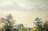 N.LANSHAN