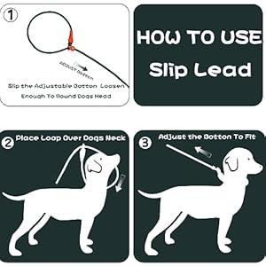 Slip Lead Dog Leash Dog Leash for Small Medium Large Dogs 6ft No Pull Dog Leash 8 Colors Classic Dog Leash Dog Rope deep Green  Cucciolini Doodles Slip lead dog leash dog leash for small medium large dogs 6ft no pull dog leash 8 colors classic dog leash dog rope deep green   cucciolini doodles