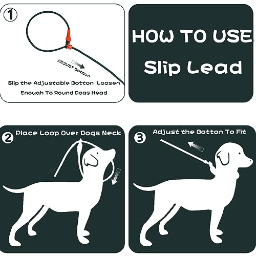 Slip Lead Dog Leash Dog Leash for Small Medium Large Dogs 6ft No Pull Dog Leash 8 Colors Classic Dog Leash Dog Rope deep Green  Cucciolini Doodles Slip lead dog leash dog leash for small medium large dogs 6ft no pull dog leash 8 colors classic dog leash dog rope deep green   cucciolini doodles