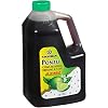 Kikkoman Ponzu Lime Plastic FS Bottle, 64 Fl Oz