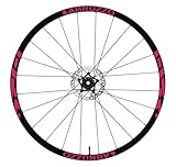 DualColorStampe