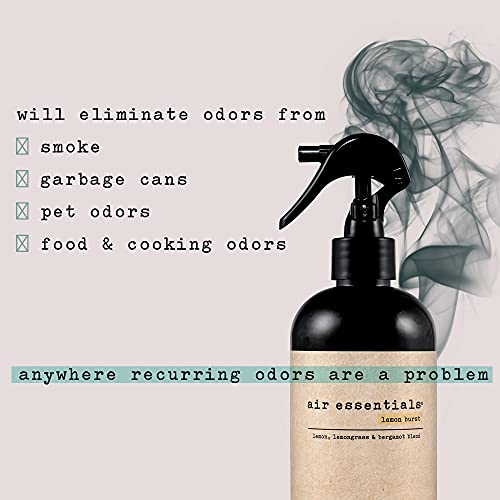 Air Essentials Air Freshener & Odor Eliminator Spray - Made With Pure Essential Oils - Lemon Burst - 12 Ounce - 2 Pack #TOP4