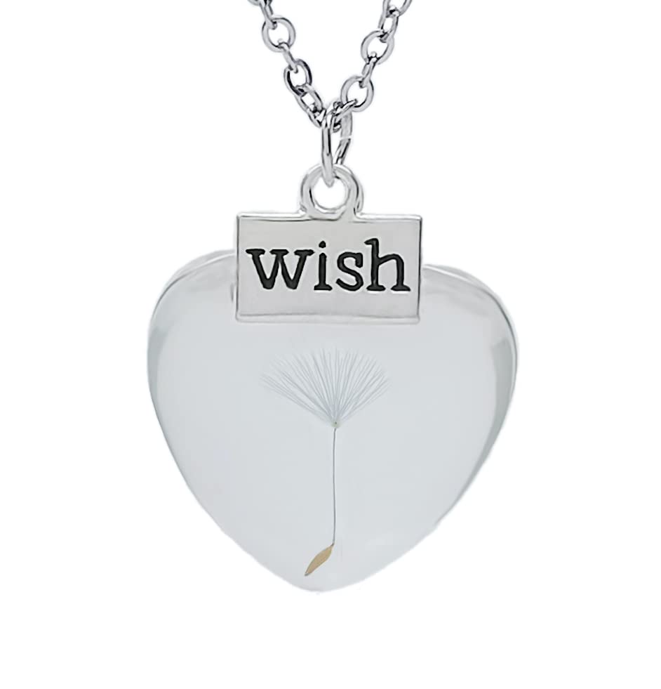 Aloha Collana Dente di leone Esprimi un desiderio Fiore Vero Soffione Catena in Acciaio Collane Idea Regalo Donna Compleanno Amica by