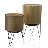Praticité : Avec des dimensions compactes, ces pots offrent un espace suffisant pour vos plantes, tout en se plaçant facilement sur étagères, tables ou rebords de fenêtres