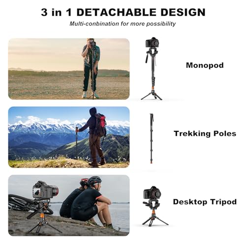 Professional Camera Monopod with Feet, 73.2 inch Aluminum Portable Travel Video Monopod with Removable Tripod Stand Base, Max Load 22 Lbs, New Q6 Fluid Head for DJI RS4 Manfrotto