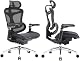 Sihoo Doro C300 Pro Ergonomischer Bürostuhl mit 6D-Armlehnen und Lordosenstütze