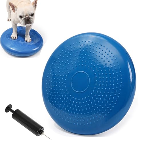 JuneSunpoXfBXNAybg̃RAƈ萫̃g[jOAƉOł̎gpAoX̂Ƃꂽ\tgtBbglXfBXN