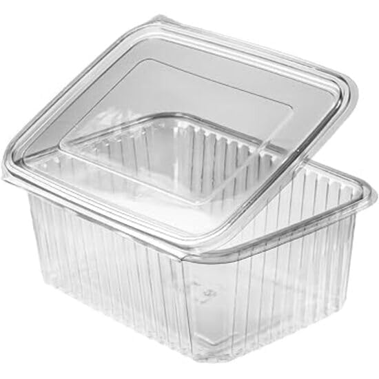 Hinged Pet - Rectangular Containers with lid I Transparent Reusable Air Tight Box I Containers for Kitchen Storage Serving Food delivery Home, Outdoor, Travel (10, 600ML)-picture-18