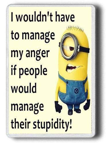 Pegasus Designs Minions Manage My Anger Jumbo Size 9*6cm Rectangular Yellow Refrigerator Magnet, 1 Count