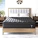 VISCOUNTESS Queen Mattress, Hybrid Mattresses 10 Inch Euro Top Medium Firm for Back & Lumbar Support, 100 Night Trial, Individual Pocket Spring Bed for Motion Isolation & Pressure Relief Black