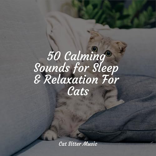 Thumbnail for Spiele 50 Calming Sounds For Sleep And Relaxation For Cats Von Music For Cats Ta Cats Music Zone