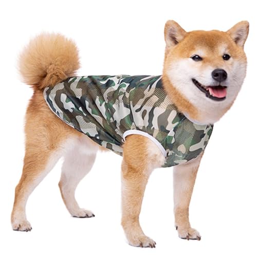 pVcxXgyʌpTVcAėpvg\tgN[VcA^^pApjppW}(GTX03-V-Jt[W-2XL)