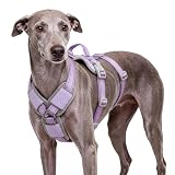 ThinkPet Flexfit 3-Strap Escape Proof Dog Harness, No Pull Front Clip 2-in-1 Vest with Control Handle, 360° Reflective Breathable Adjustable Harness for Greyhound Whippet Vizsla, Small, Purple