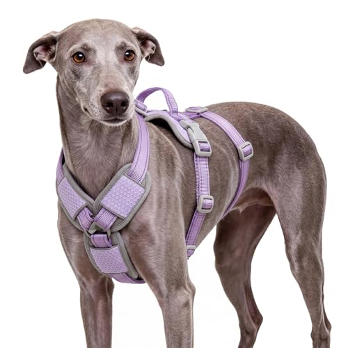 ThinkPet Flexfit 3-Strap Escape Proof Dog Harness No Pull Front Clip 2-in-1 Vest with Control Handle 360 Reflective Breathable Adjustable Harness for Greyhound Whippet Vizsla Small Purple