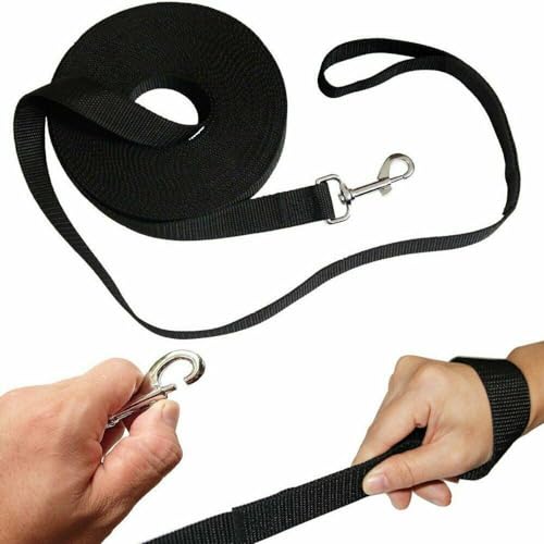 Image of 10 Feet Nylon Training Dog Leash for Small Medium Large Dogs Puppy Lead for Obedience Recall Training, Camping (Blue)