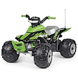BATTERIA RICARICABILE: funziona con una batteria da 12V/8Ah/100Wh, ricaricabile tramite presa domestica; caricabatteria e batteria inclusi
