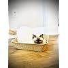 Midlee Disposable Cat Litter Boxes Pack of 5- Travel Portable Pet Tray Liner Pan