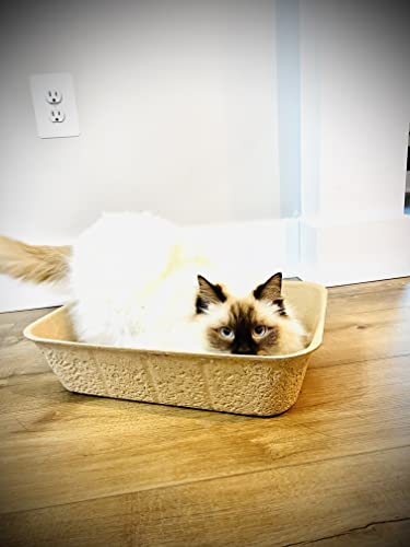 Midlee Disposable Cat Litter Boxes Pack of 5- Travel Portable Pet Tray Liner Pan - Thumbnail 2