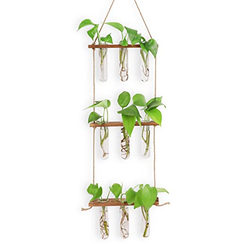 CRITIVE-SHOP Station de Multiplication Murale pour Plantes Hydroponiques - Vase à Essai Suspendu à 3 Étages avec 7 Tubes à Essai, 3 Clous Non Décolorants (Couleur Bois Foncé)