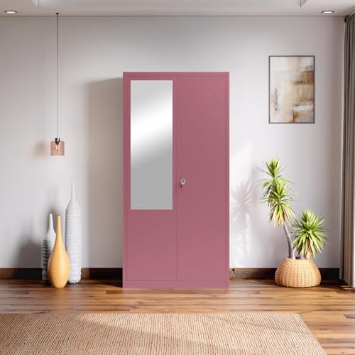 Image of Interio by Godrej Luminex NX 2-Door Steel Almirah with Mirror (Textured Dusty Rose), 1-Year Warranty, 1 Locker, 5 Shelves