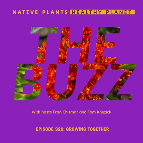 The Buzz - Growing Together