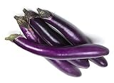 Eggplant Seeds for Planting Vegetables and Fruits-High Yield Eggplants for Home Vegetable Garden & Container Planting.屏东长茄子.Non GMO Heirloom Garden Seeds-50ct Long Ping Tung