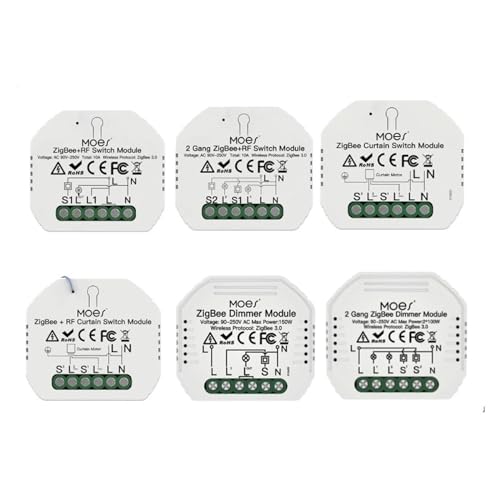 Vie intelligente et domotique : module de commutation intelligent Zigbee 2 Gang