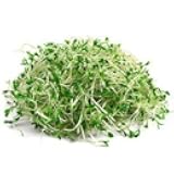 Kowalke Organics, Alfalfa Sprouts Organic, 4 Ounce