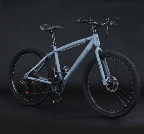 Dazzix24/26C` 21/24/27iϑ}EeoCNϑfBXNu[LՌz[hljƏ[VO\̊wƃIt[h] g 155-185cmΉ z S҃ptH[}X僂f (26C`/27,