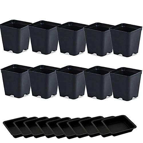 Idroponica Vaso quadro 1,7L + Sottovaso - 12x12x13cm