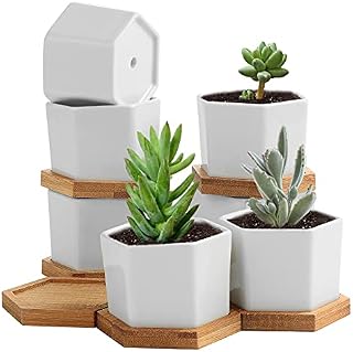 TsunNee 6PCS 2.7 Inches Ceramic Flower Pots, Hexagon White Succulent Pots, Ceramic Planter Pots, Mini Decorative Bonsai Pots for Home Garden Office Decor Desktop Windowsill Gift