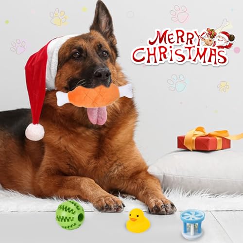 Hunde Adventskalender 2024, Adventskalender für Hunde mit 24 Hundespielzeug Weihnachten, Dog Advent Calendar mit Bällen, Federspielzeug und Glocken, 24 Tage Überraschungen für Hundeliebhaber (24 PCS)