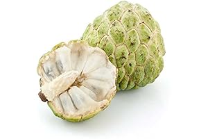 Custard Apple Tree: The Sweet and Creamy Tropical Delicacy from Sugar Apple Seeds
