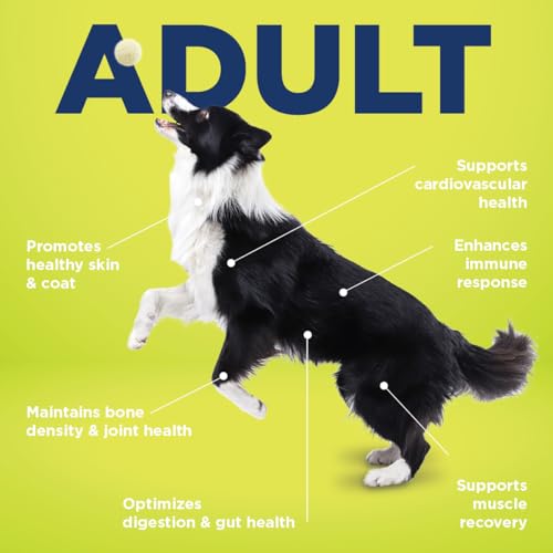 Vetericyn-All-in-1-Multifunctional-Dog-Supplement-Digestive-Enzymes-Glucosamine-and-Chondroitin-for-Bone-and-Joint-Support-Vitamins-Antioxidants-Prebiotics-Probiotics-and-Omegas-90-Count Vetericyn All in 1 Multifunctional Dog Supplement Digestive Enzymes Glucosamine and Chondroitin for Bone and Joint Support Vitamins Antioxidants Prebiotics Probiotics and Omegas 90 Count