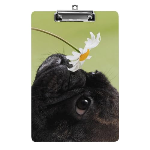 Nbv{[h A4 c^ t`uhbO   t@C{[h Ǌ|  ₷ v{[h Ď^т₷  [ cpbh pi  wZ ƒpoC_[