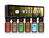 P&J Trading - Woodland Set of Scented Oils - Cedar, Warm Rustic Woods, Moss, Redwood Forest, Mountain Air, Evergreen Forest Fragrance Oils for Candle Making, Soap Making, Diffuser Oils