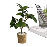 Generisch Planta en Miniatura | 1 6 Escalas Plantas Verdes Modelo Ornamento, casa de muñecas Mini Plantas en Maceta | para Accesorios de jardín de, Manualidades, hogar, alféizar de la Ventana