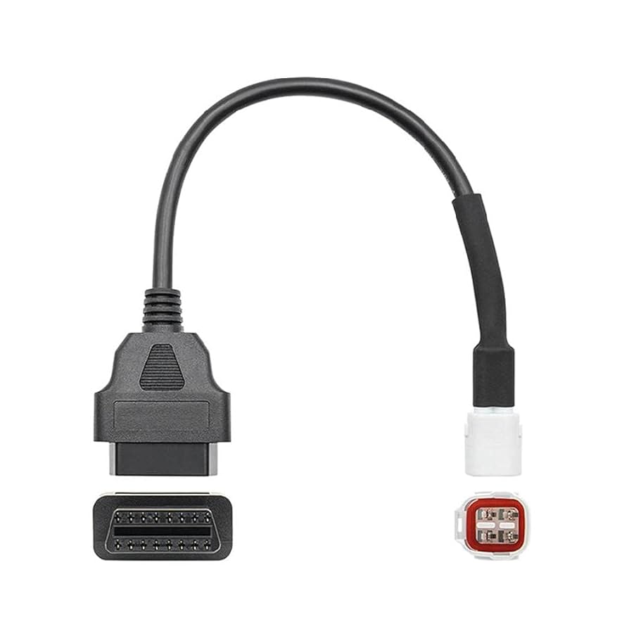 確認用！ファヌスダイコク4オス！ 41Z2j8GK94L.jpg_BO30,255,255,